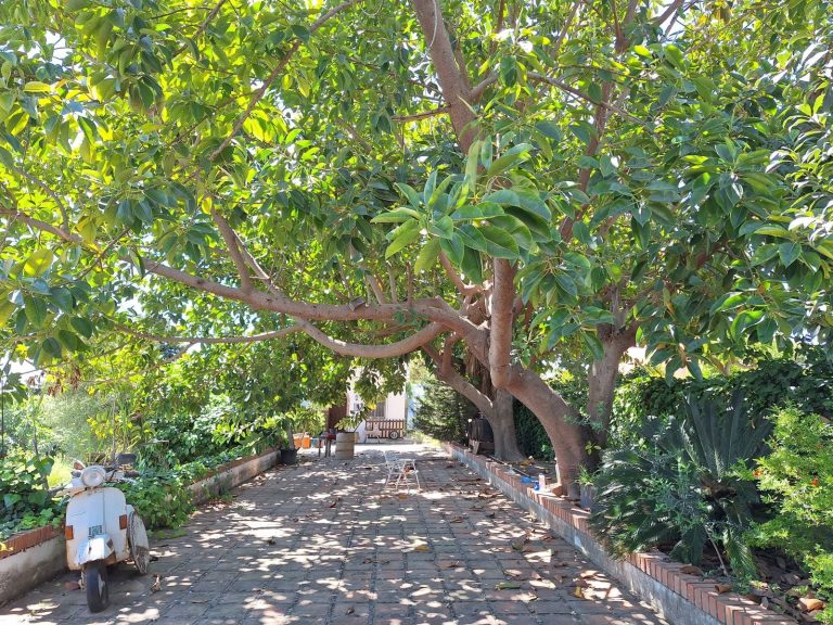 8ef4ce95933465c9b46337d3f2e886d8 - 10