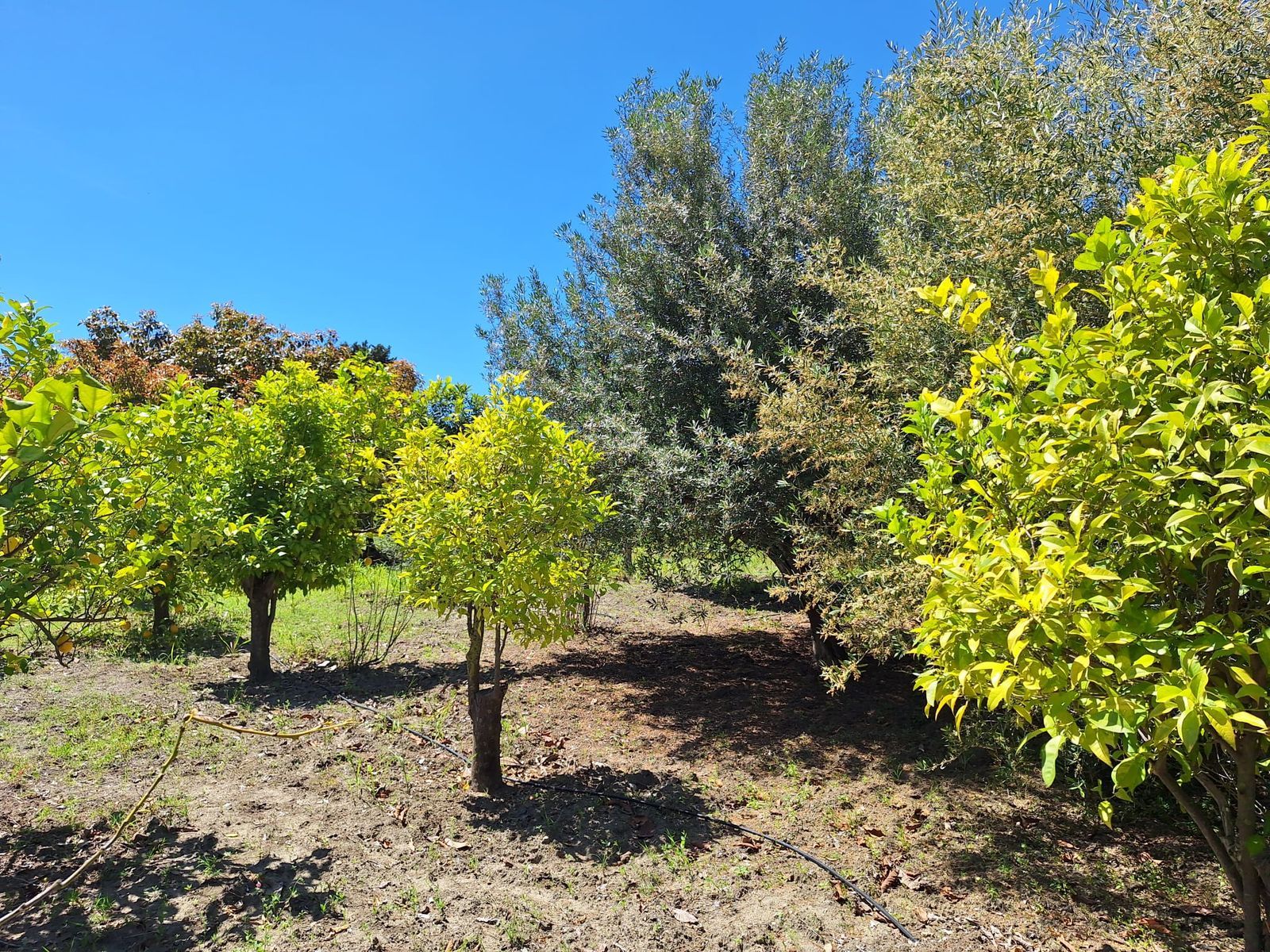 8ef4ce95933465c9b46337d3f2e886d8 - 12