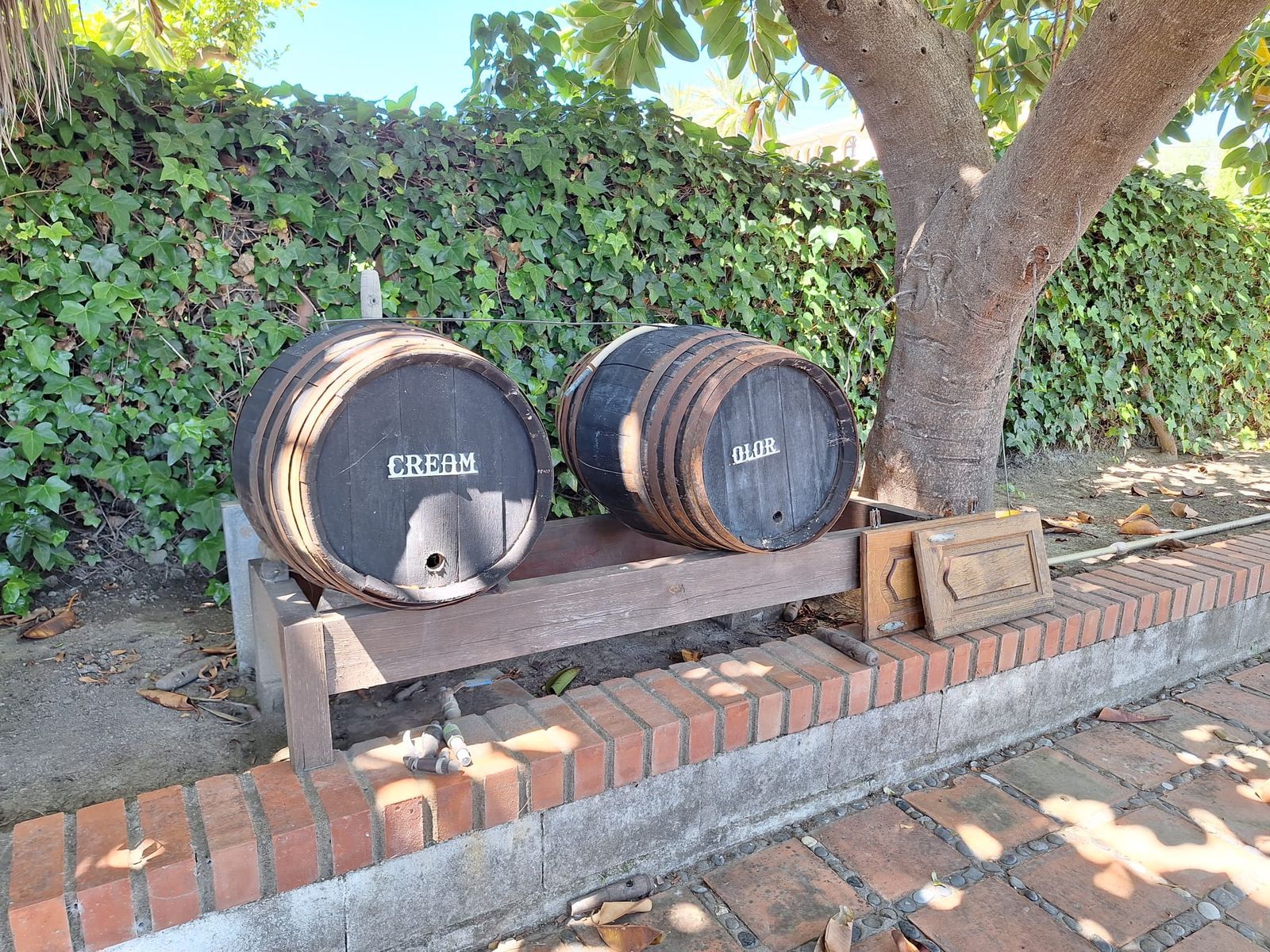 8ef4ce95933465c9b46337d3f2e886d8 - 5