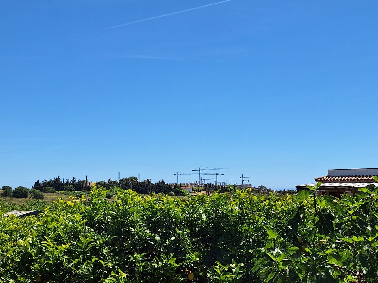 8ef4ce95933465c9b46337d3f2e886d8 - 6