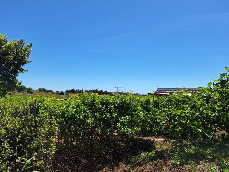 8ef4ce95933465c9b46337d3f2e886d8 - 7