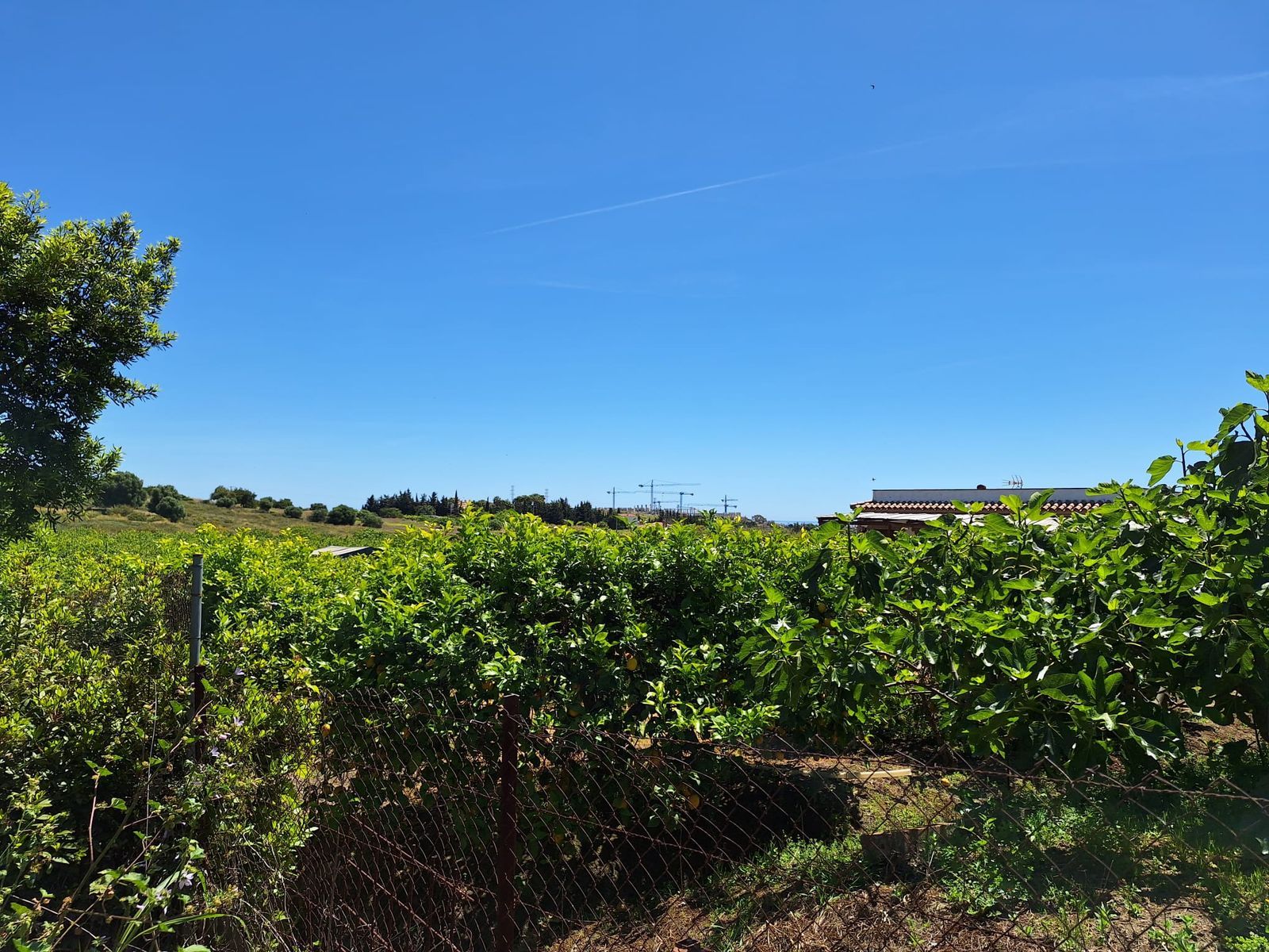 8ef4ce95933465c9b46337d3f2e886d8 - 7