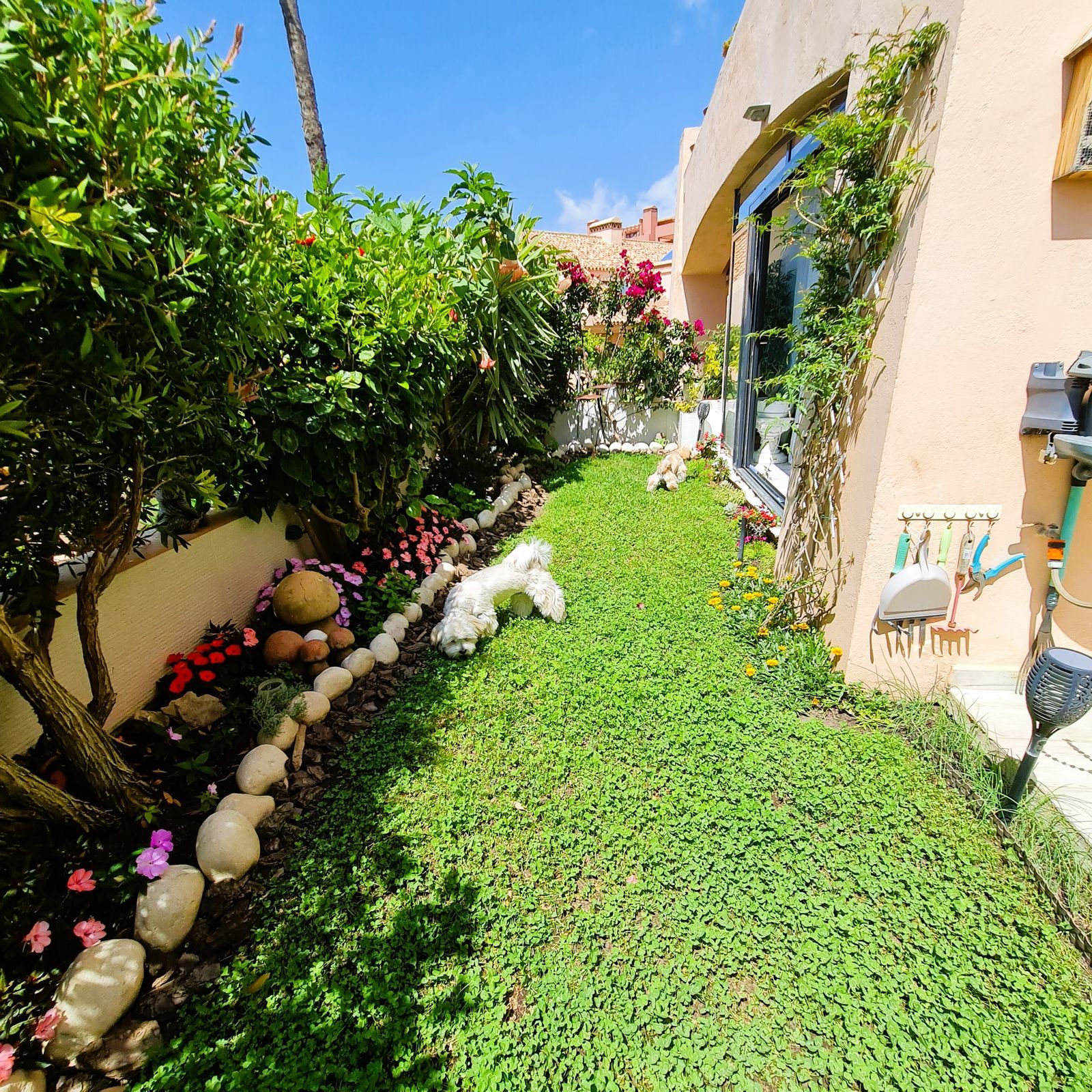 918bc5a55fd29ab3d4bc14feefe45d6e - 15