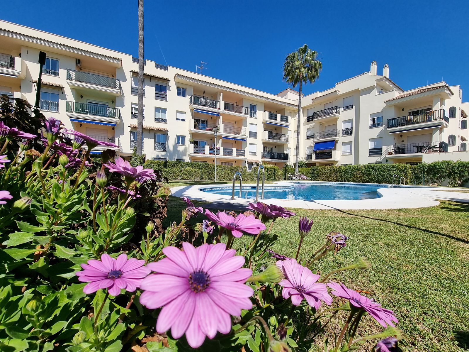 97a45573bd25580721bac4174c67cf02 - 2