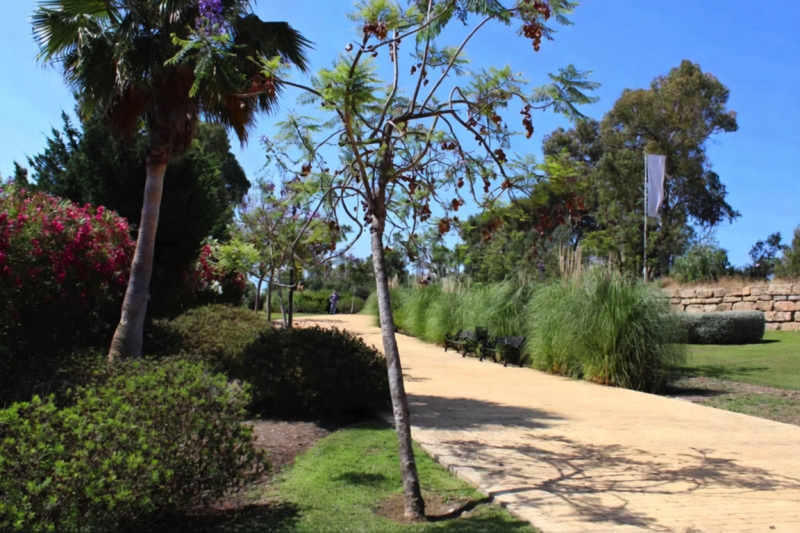 9da9f9a280aeddc68a631d7b8f8c056e - 8