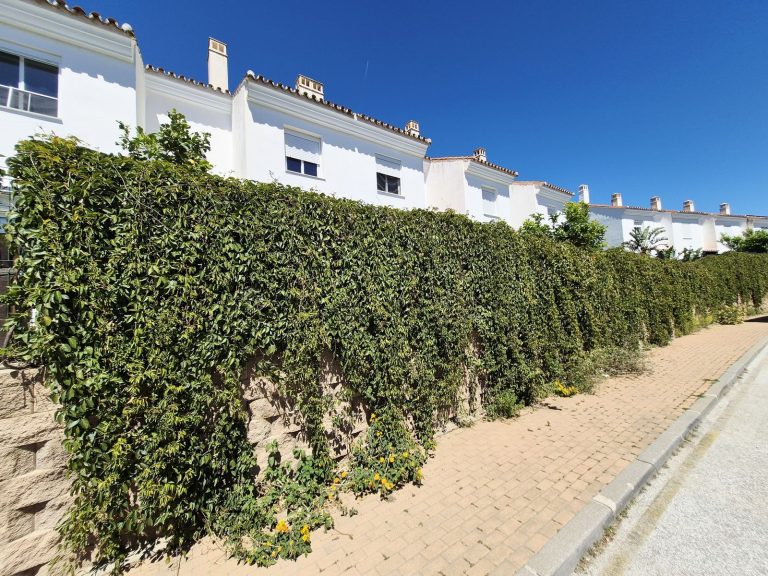 a487d7c372e58ad54b2a974a559a18e4 - 12