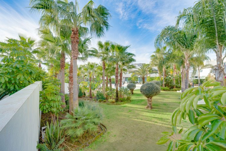 ac11cceb9af1155e90035bd9cfccdbf7 - 13