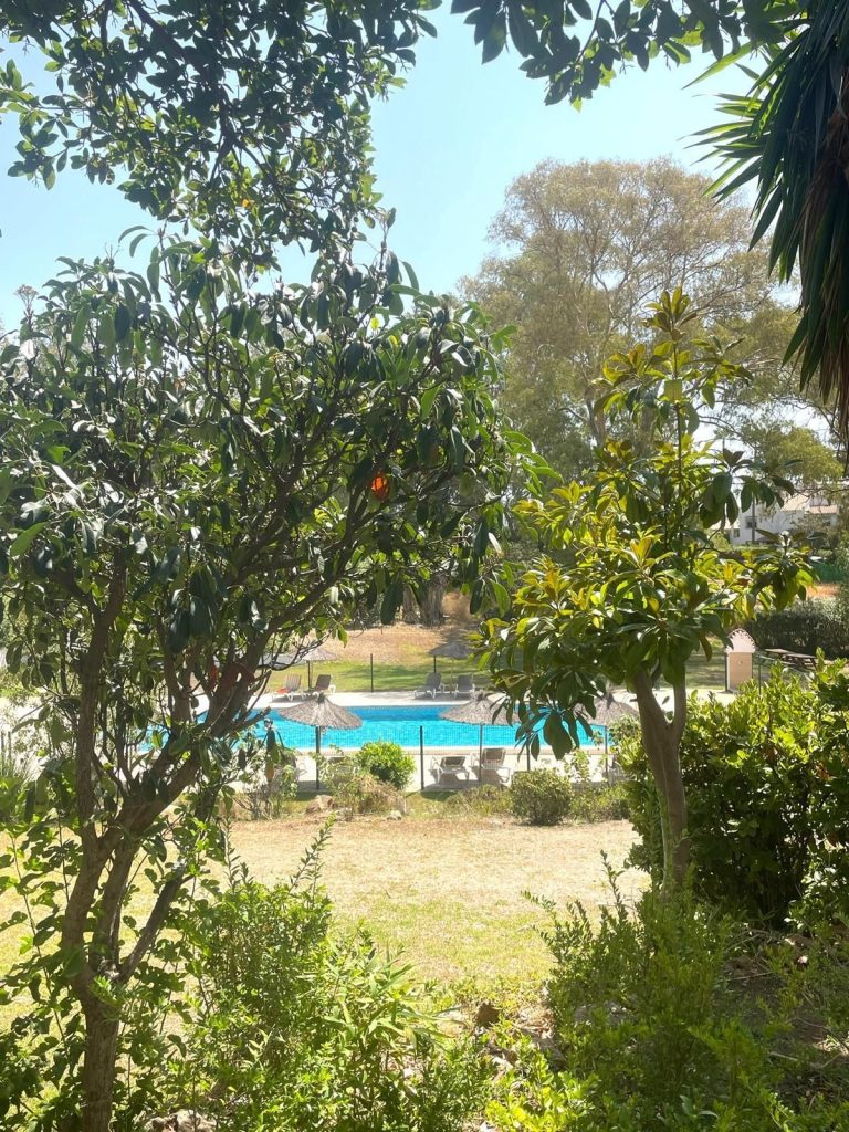 ae3a7bdd18402f69dbe7904f5fabf12c - 1