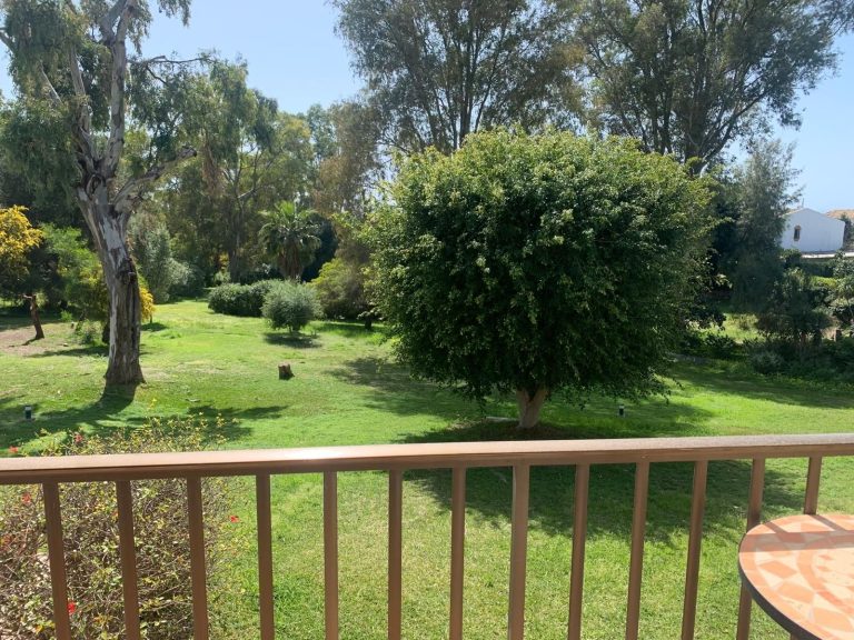 ae3a7bdd18402f69dbe7904f5fabf12c - 12