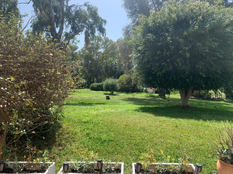 ae3a7bdd18402f69dbe7904f5fabf12c - 2