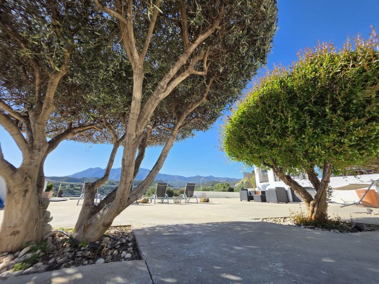 b014a08d1eef70e7359f0bccbb175e2f - 3