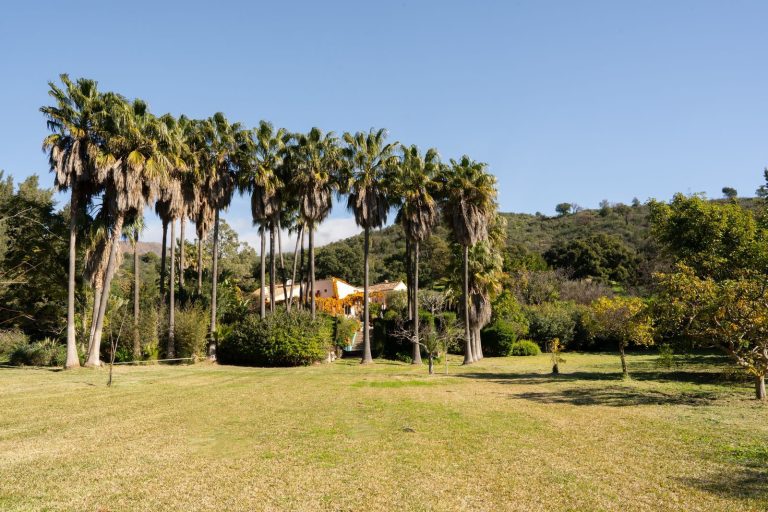 b40f99a3f0d488ecc82b40de14136238 - 4