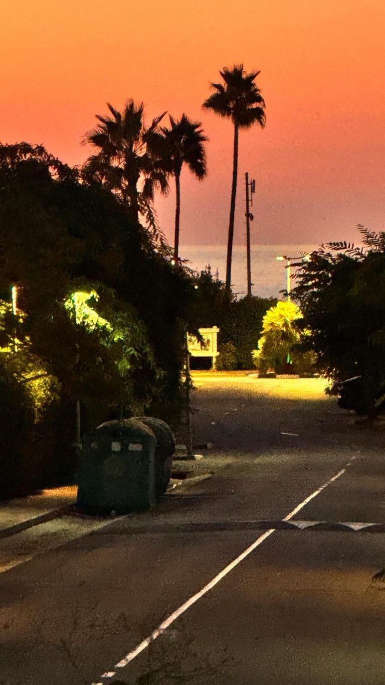 b4f06502edf1a474628d4ccef5b38767 - 2