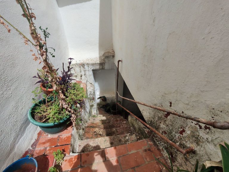 b920b7c614447556312540a305ed8f81 - 13