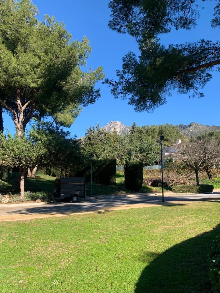 c785c1a50ddfbca846364bee77e74c78 - 12