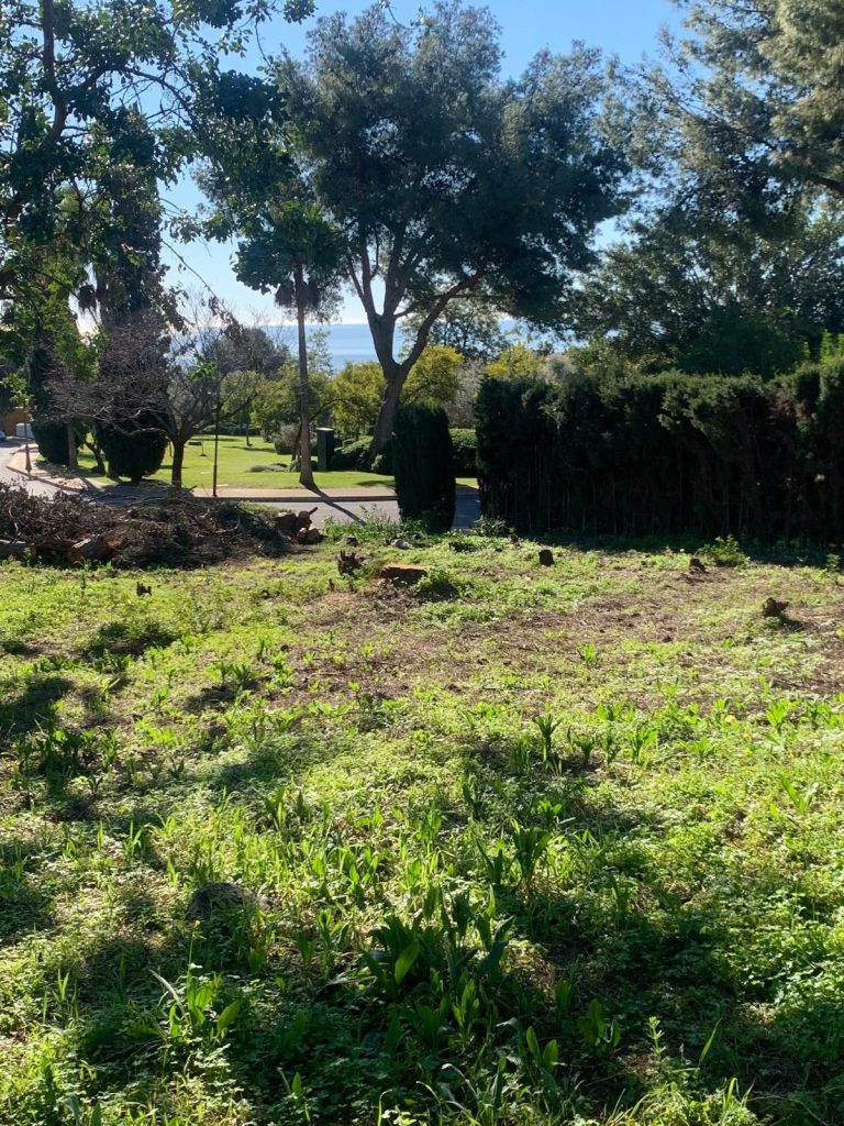 c785c1a50ddfbca846364bee77e74c78 - 14