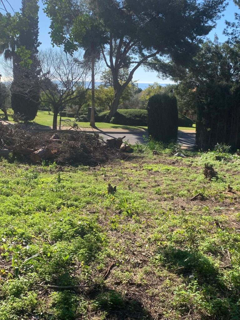 c785c1a50ddfbca846364bee77e74c78 - 15