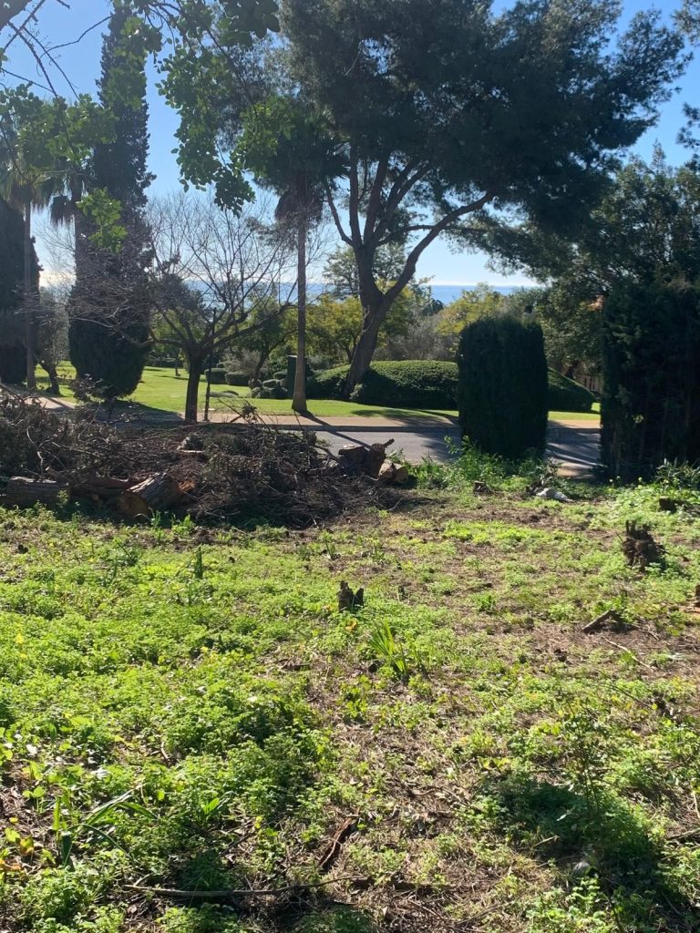 c785c1a50ddfbca846364bee77e74c78 - 16