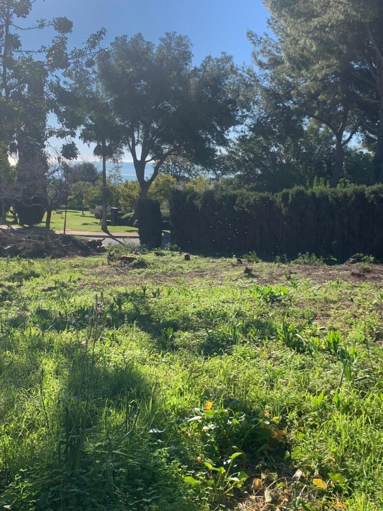 c785c1a50ddfbca846364bee77e74c78 - 2