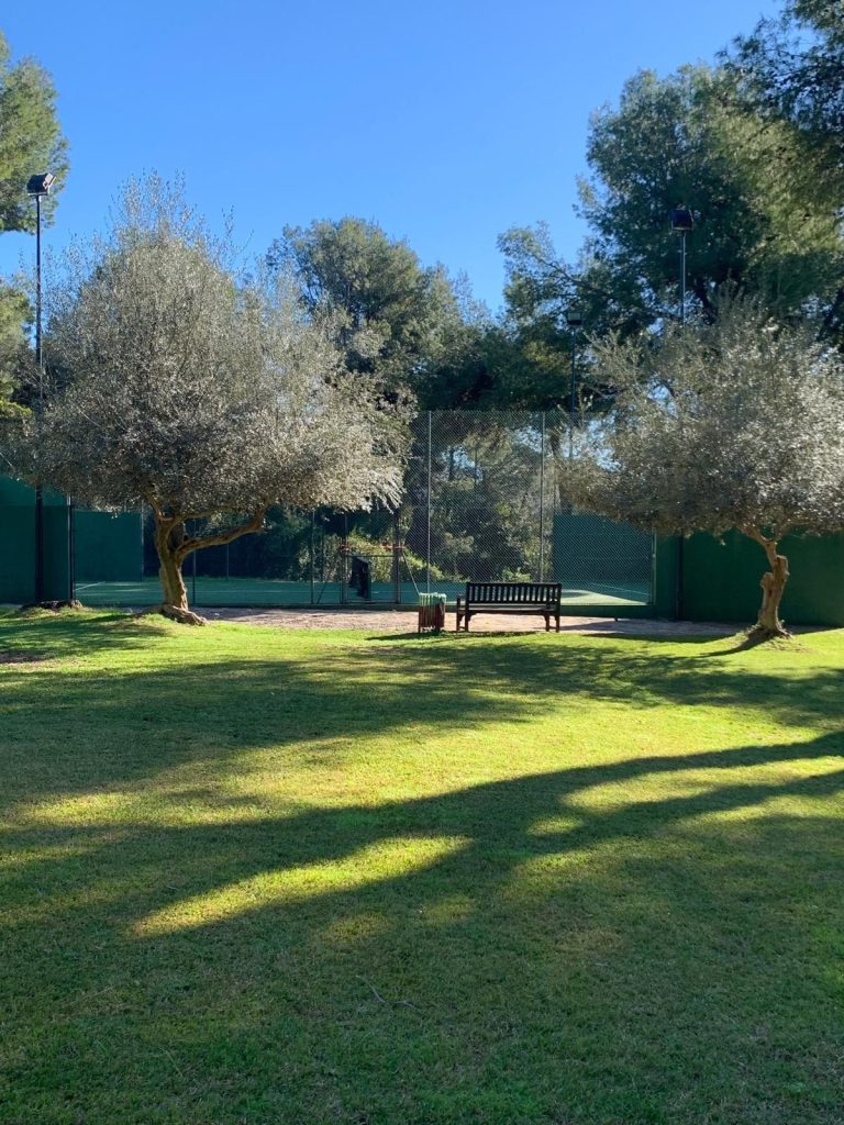 c785c1a50ddfbca846364bee77e74c78 - 5