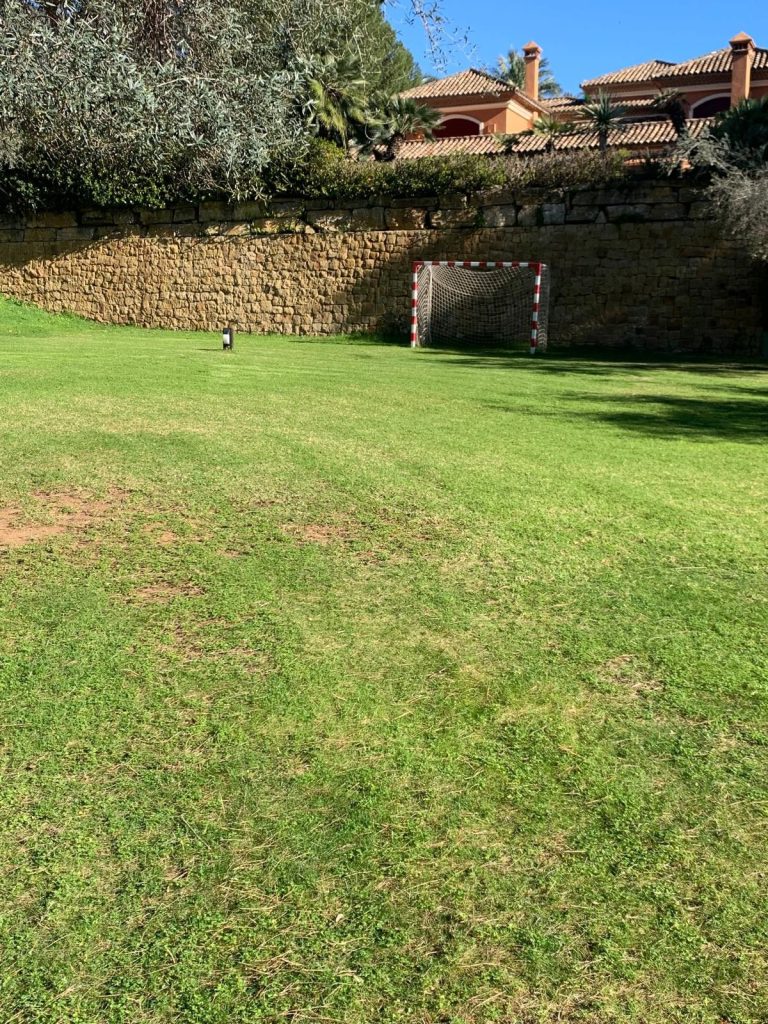 c785c1a50ddfbca846364bee77e74c78 - 6