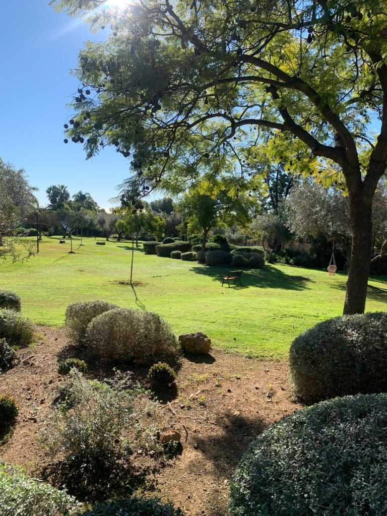 c785c1a50ddfbca846364bee77e74c78 - 8