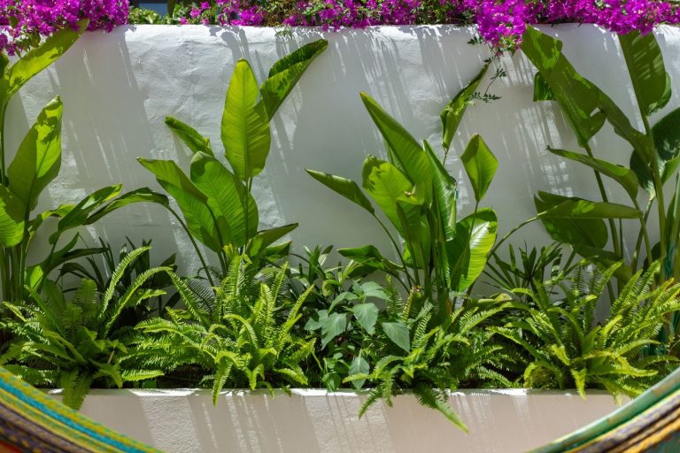 c8a0d513f8b22a9b048b4efdd366645a - 7