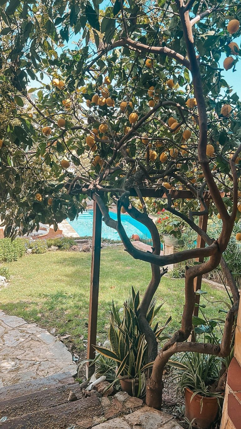 ce42604de4ecc93d0ecf72f49a0890fa - 4