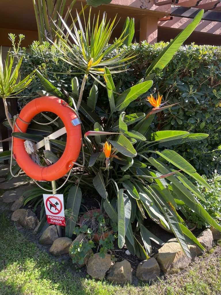 d093986653b9674f2827a040550a0901 - 12