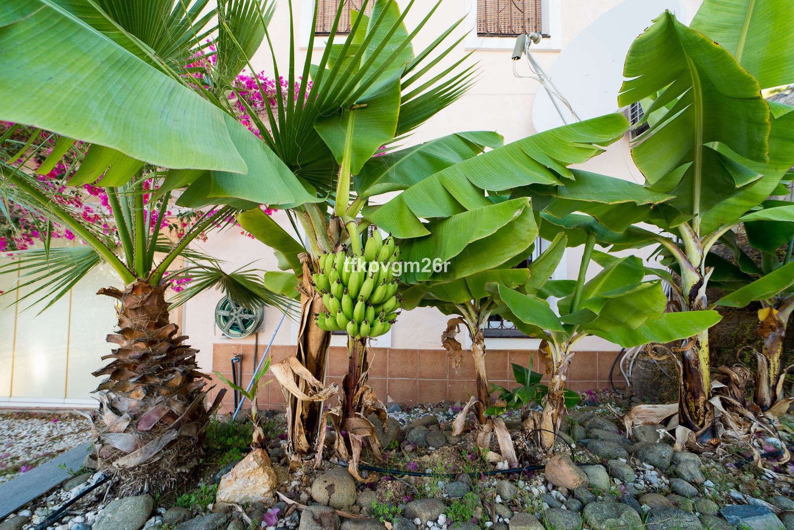 d18a4297afe284f35a64ce111beca700 - 5