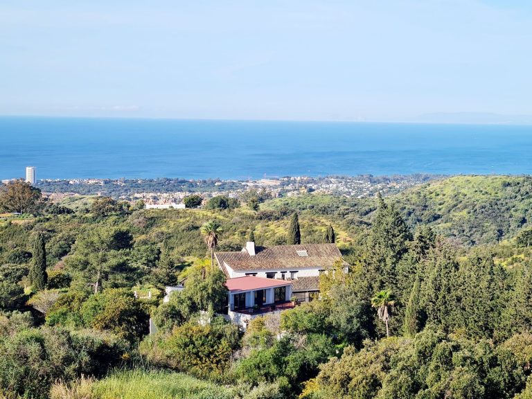 daa85688d07879d9b62fcc80a01296d1 - 1