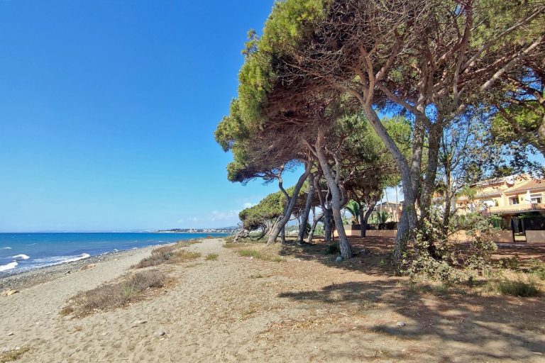 de80c5e9c8eb89f24473f4f6c9349fe7 - 15