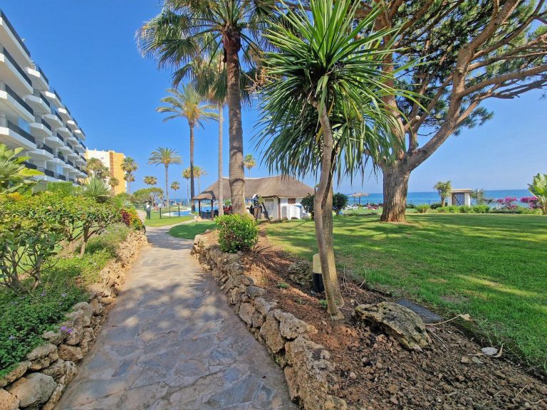 e43ddc09b51bfcf5500302af8384d951 - 1