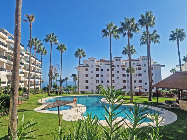 e43ddc09b51bfcf5500302af8384d951 - 3