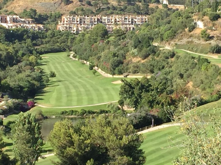 e4b80f4dc6925509695a9874b84f00da - 1