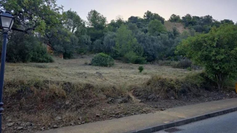 e90d06f8517cb5959ca7bf8ff43702e0 - 2