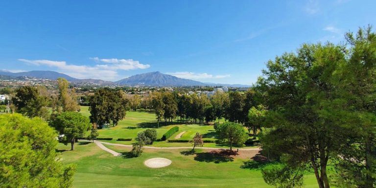 eaa987973317b47ba0c3f5cc4f8397ab - 14