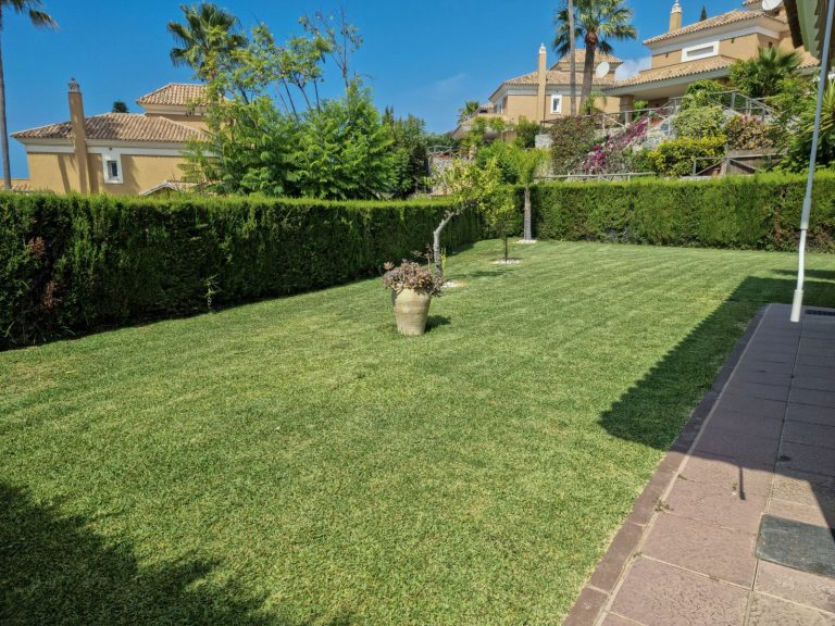 f1b0f7f1dc741b87ce3e7de197e8aef0 - 2