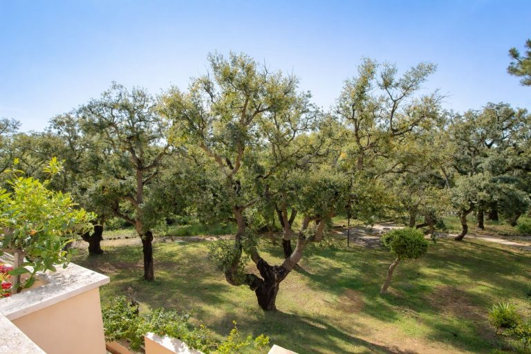 f84a5d82b3148e4b712e3146318ae9de - 11