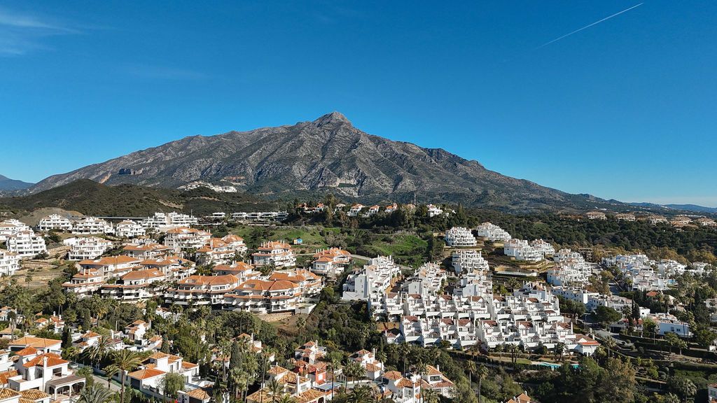 d95dc6797446c8648b41ef71688ac4a8 - 15
